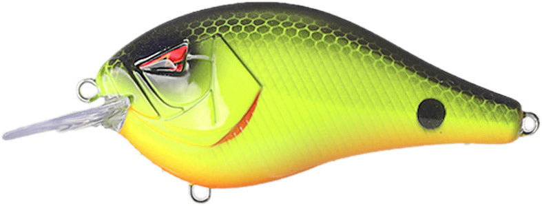 Squarebill Crankbait