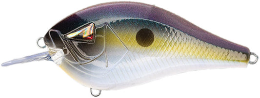 Squarebill Crankbait