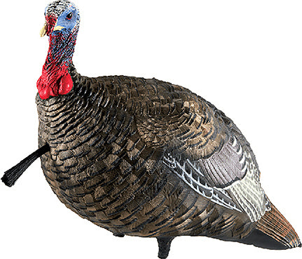 1/4 Strut Turkey Decoy