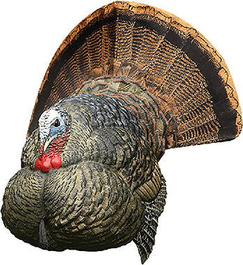 Strutter Turkey Decoy