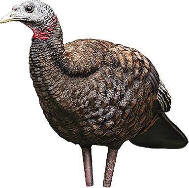 Breeder Hen Turkey Decoy