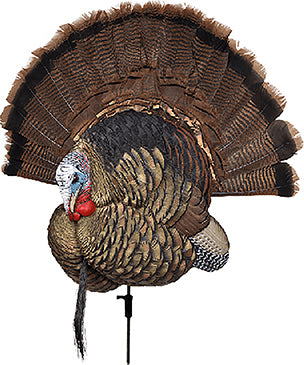 Trophy Tom Turkey Decoy