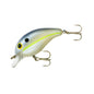 Mid Range 5Ft Crankbait