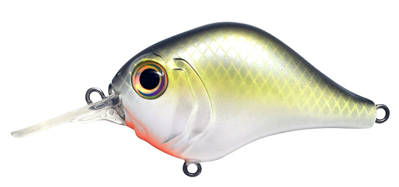 Mr-6 Crankbait