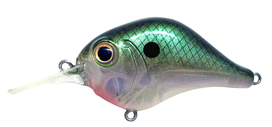 Mr-6 Crankbait