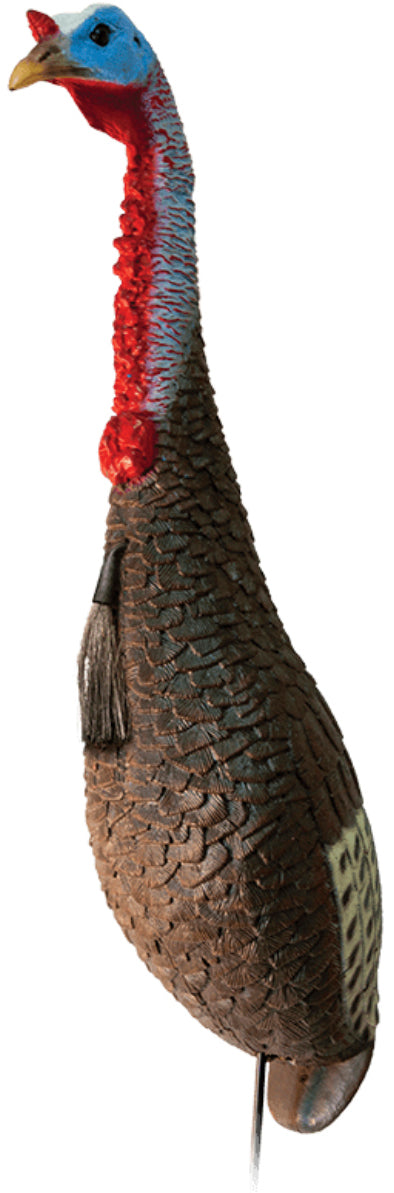 FUNKY CHICKEN TURK DECOY