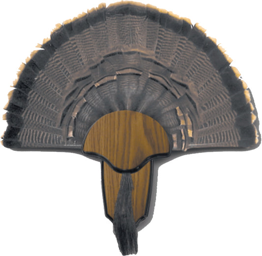 TURKEY MOUNT KIT