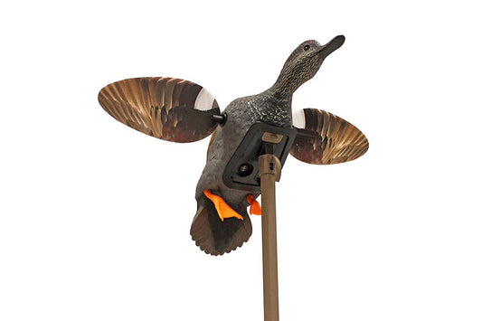 GADWALL DECOY