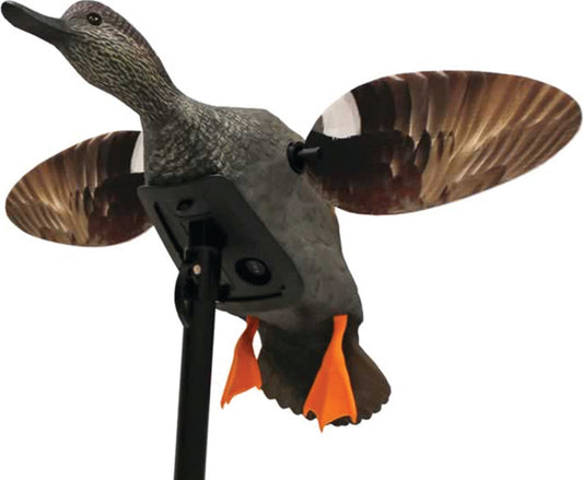 GADWALL DECOY ELITE