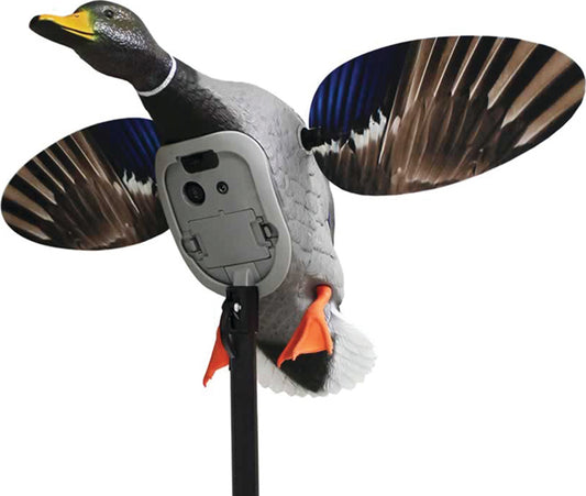 KING MALLARD DECOY